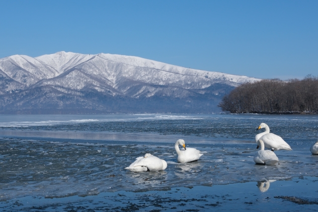 Hokkaido