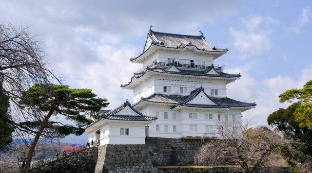 Odawara Day Trip from Tokyo: Castle, Seafood & Hidden Gems