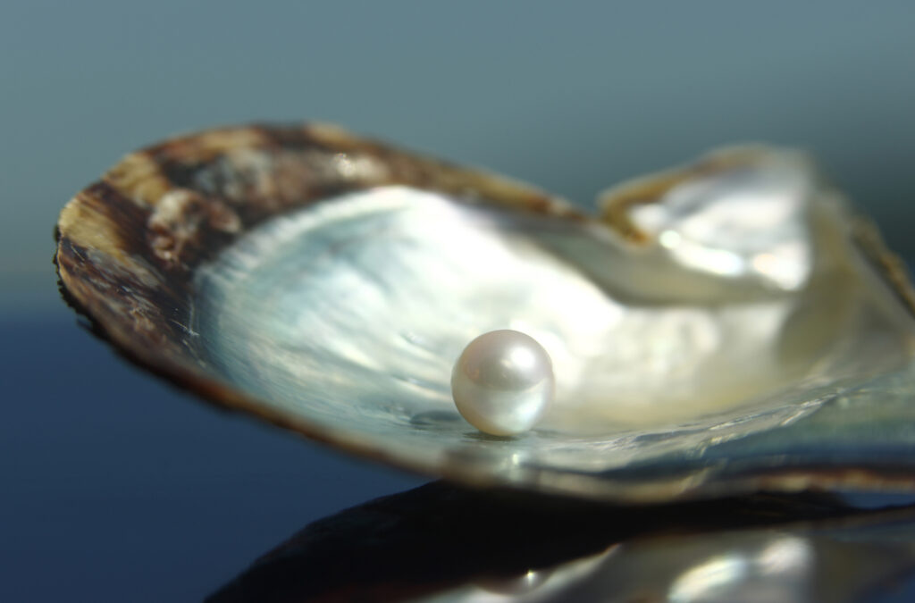 The Island Where the Cultured Pearl Was Born: Mikimoto Pearl Island, Mie